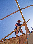 wp56d5cc70_0f.jpg