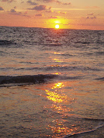 wpa88f5562_0f.jpg